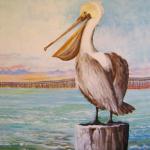 "Patty Pelican"
9" x 12", Acrylic
Private Collection