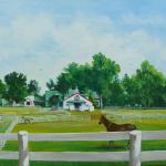 "Calumet Farm"
Oil, 20" x 16"
SOLD to
Private Collector