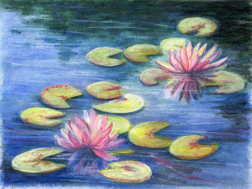 "Brookgreen Waterlilies"